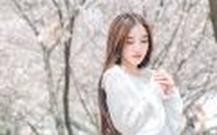 欧美男男可播放video